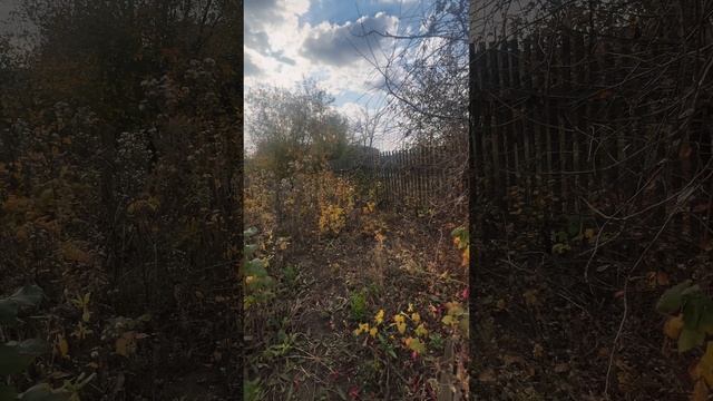11412106 смотреть онлайн