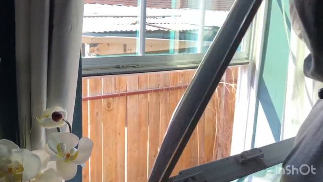 Start Window cleaning business смотреть онлайн