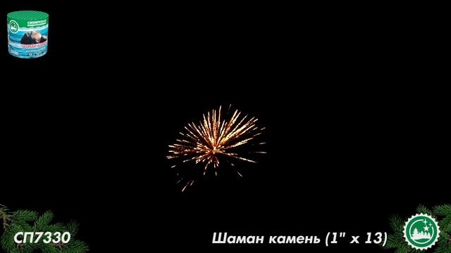 СП7330 смотреть онлайн