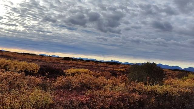 Чукотка смотреть онлайн