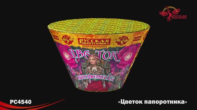 РС4540 Цветок папоротника смотреть онлайн