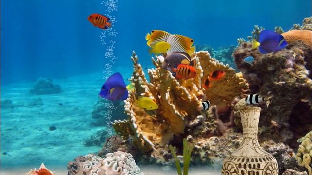 Virtual Aquarium 4K #3 смотреть онлайн