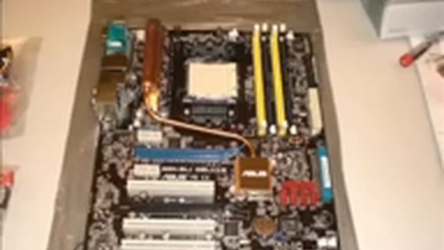 SERVER Testdom смотреть онлайн