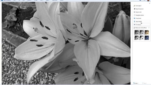 How to make pictures Black and White in wwindows live photo gallery смотреть онлайн