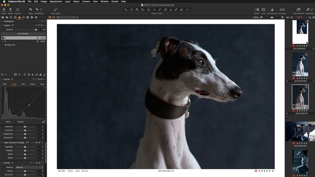 EASY Highlight DETAIL RECOVERY in Capture One Pro with BASE CHARACTERISTICS смотреть онлайн
