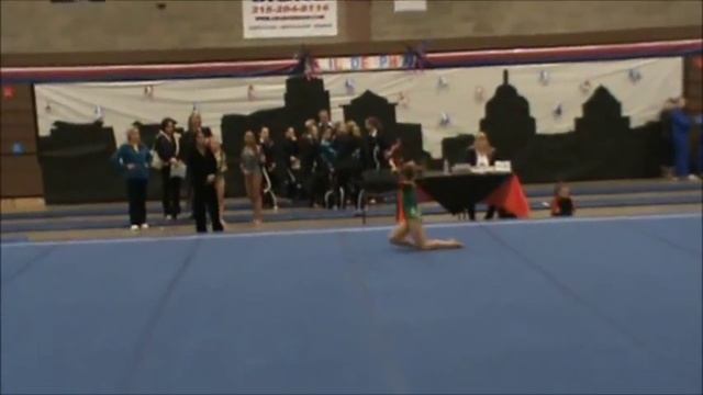 PA STATE IPO GYMNASTICS MEET.wmv смотреть онлайн