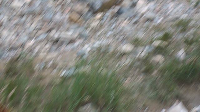 DSCN7083ДОЛИНА НАРЗАНОВ 2023