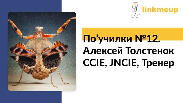 По'училки №12. Алексей Толстенок - CCIE, JNCIE смотреть онлайн
