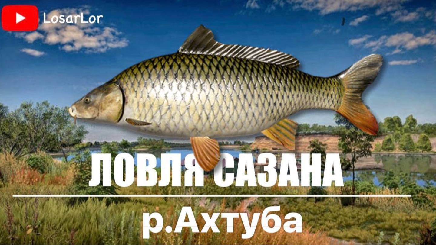 Сазан На Реке Ахтуба.Раздача ?? Русская Рыбалка 4.Russian Fishing 4 смотреть онлайн