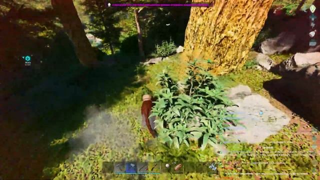 ARK Survival Ascended сервер ShineARK №8 #ark #asa #ascended #arksurvivalascended смотреть онлайн