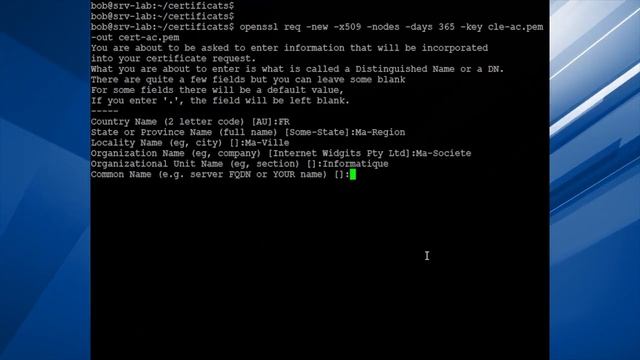 Qu'est ce qu'un certificat SSL/TLS ? | Cryptographie, PKI, Openssl смотреть онлайн