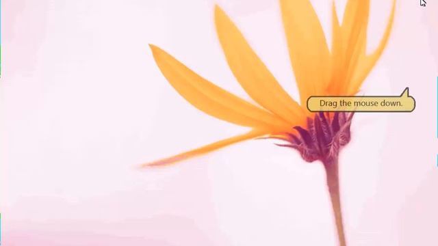 Starting Windows Help and Support in Microsoft Windows 8 (Lesson 1.6) смотреть онлайн