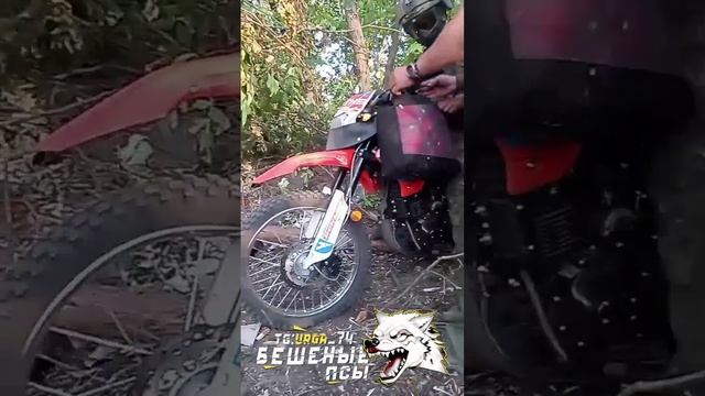 ⚡️СВО 18+ Кадры одного момента эвакуации мирных жителей из н.п. Ивановка смотреть онлайн