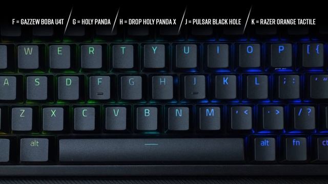 Best Razer Keyboard Yet! NEW Razer Blackwidow V4 75% Review смотреть онлайн