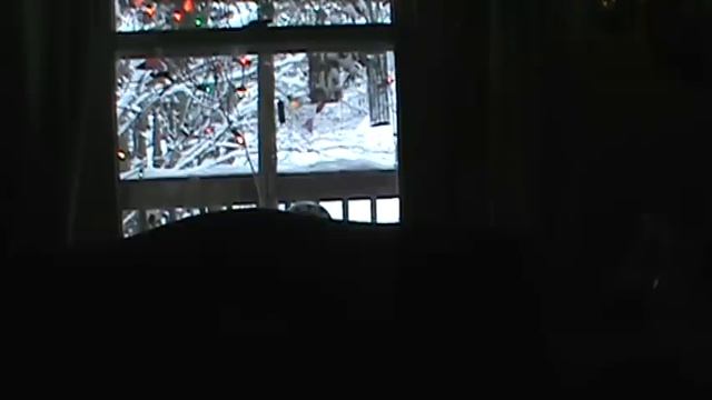 Nancy Today: Cleaning Window sill mold and the windows смотреть онлайн