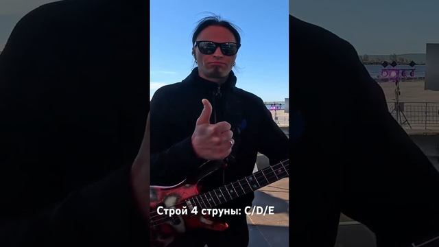 Строй 4 струны: C/D/E, что выберешь ты? #rotosound #warwick #darkglass смотреть онлайн