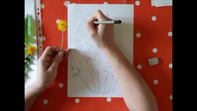 Одуванчики. Для групп раннего эстетического развития. Преподаватель Тулинова О. С. смотреть онлайн