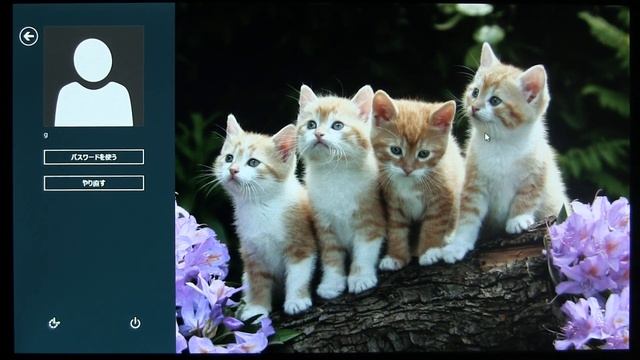 「Windows 8 Release Preview」のピクチャ パスワード смотреть онлайн