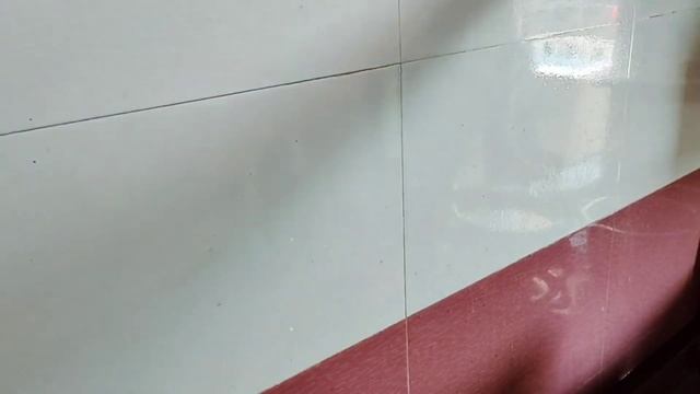 DIY Cleaner for Kitchen, Floor, Furniture, Glass Windows | Homemade All Purpose Cleaner смотреть онлайн