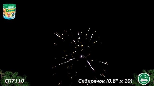 СП7110 смотреть онлайн
