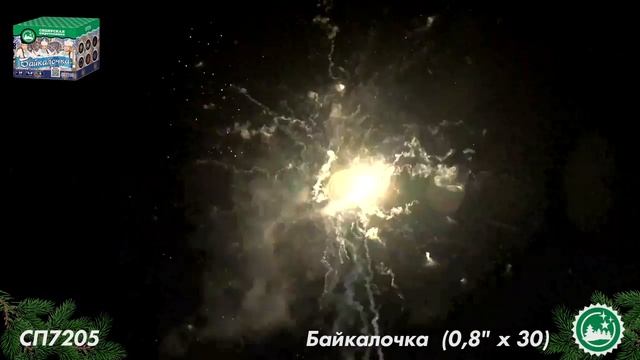 СП 7205 смотреть онлайн