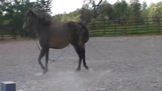 Unwrapped Version.wmv смотреть онлайн