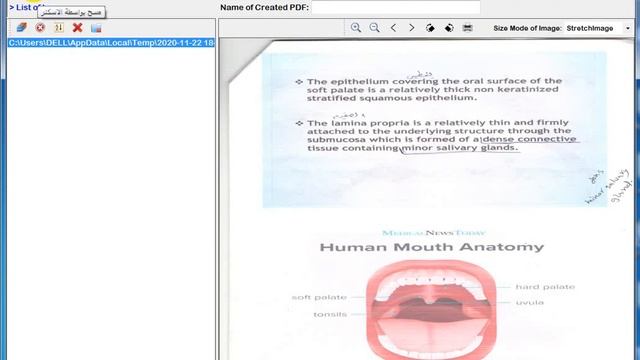 برنامج Scan To PDF Creator للتعامل مع الماسح الضوئي وتحويل الصور الى ملف بي دي اف смотреть онлайн