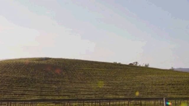 The story behind the wallpaper Windows XP смотреть онлайн