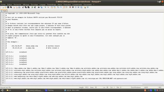 Trick to delete trojan with HOSTS file ! смотреть онлайн