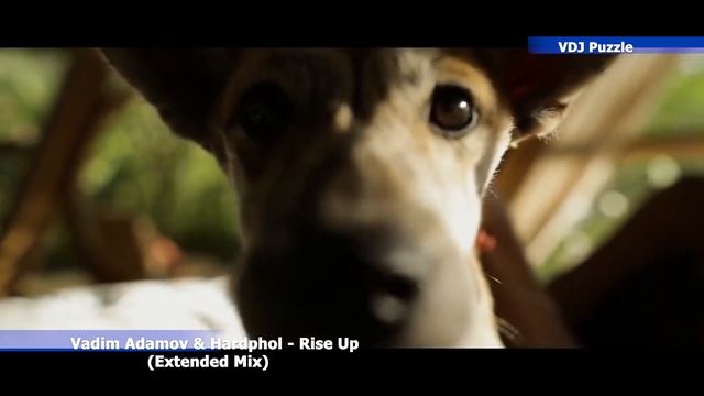 Vadim Adamov & Hardphol - Rise Up (Extended Mix) смотреть онлайн