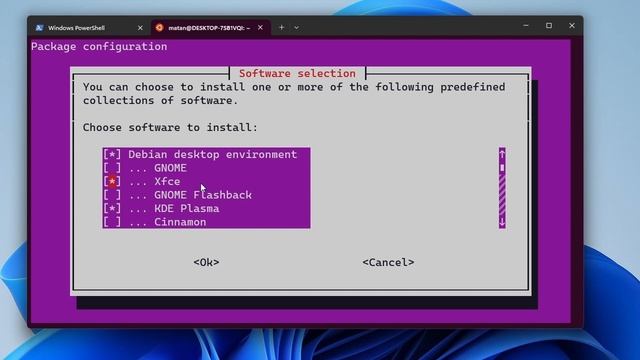 How to install a desktop environment on Windows Subsystem for Linux (WSL with GUI) смотреть онлайн