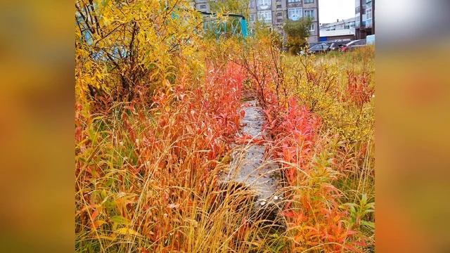 Воспитатель года 2021 Жданова А А Педагогический проект смотреть онлайн