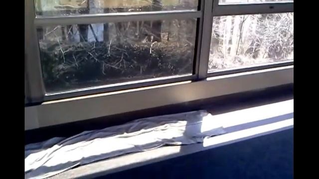 Professional Window Tinting applying film @ First Data Corp. Wilmington смотреть онлайн
