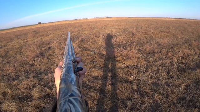 Пора выкинуть ружьё, ну или почистить. Заяц, Фазан, Лиса. Ходовая охота с Деффом! смотреть онлайн