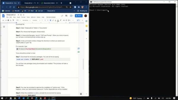 Installing DeepLabCut on a Windows computer