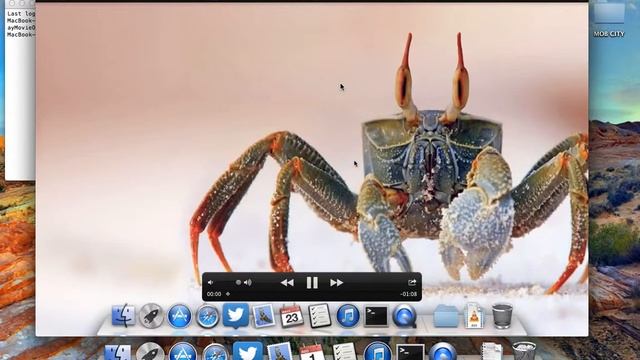 How to enable auto play feature in QuickTime Player смотреть онлайн