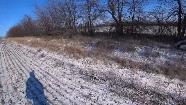 Ходовая охота. Патрон показывает Алтаю, мастер класс! Поиск и подача Фазанов! ТОЗ-34 не подвёл! смотреть онлайн