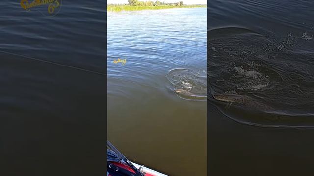 Щука почти двушка смотреть онлайн