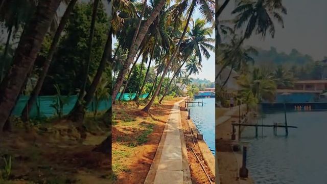 Лови волны музыки и вдохновения смотреть онлайн