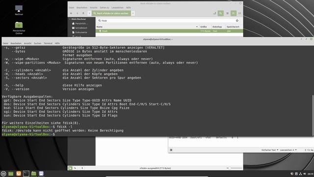 To Do Nach der Installation Teil 2 - Windows Festplatte einbinden - Linux Mint 20 Tutorial смотреть онлайн
