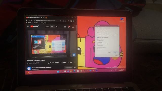 windows 11 insider preview build 25182 Has GSOD смотреть онлайн