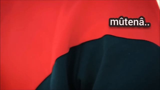 çok yaşa filistin, kahrolsun siyonizm! | Kofia - Liva Palestina! смотреть онлайн