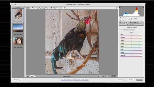 Using Photoshop Camera Raw to Edit Raw Image Files - Photography Tutorial смотреть онлайн