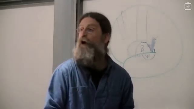 Биология поведения человека: Лекция #23. Язык смотреть онлайн