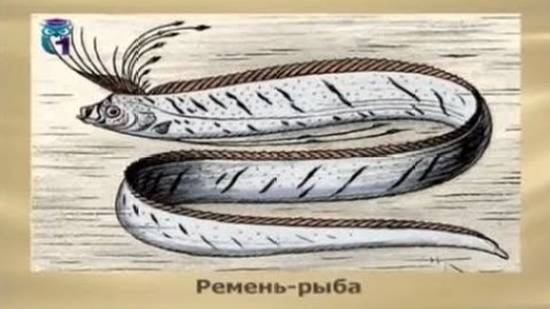 Ремень-рыба (Сельдяной король) смотреть онлайн