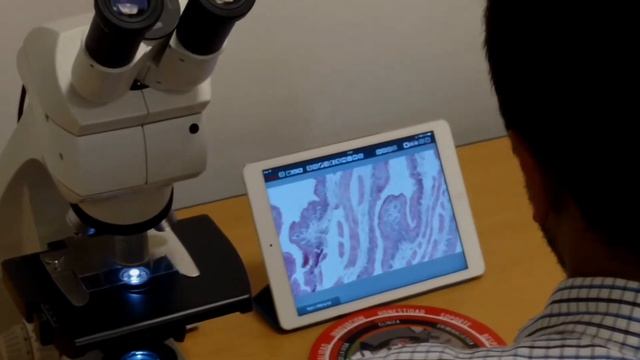 Sistema Digital de Microfotografía Leica ICC50 W смотреть онлайн