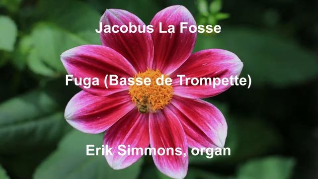 Jacobus La Fosse - Fuga (Basse de Trompette) смотреть онлайн