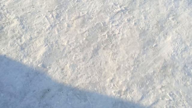 гуляем!треш