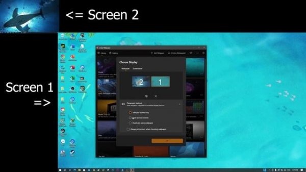 Guide to setting up lively wallpaper for multiple screens in Lively wallpaper app