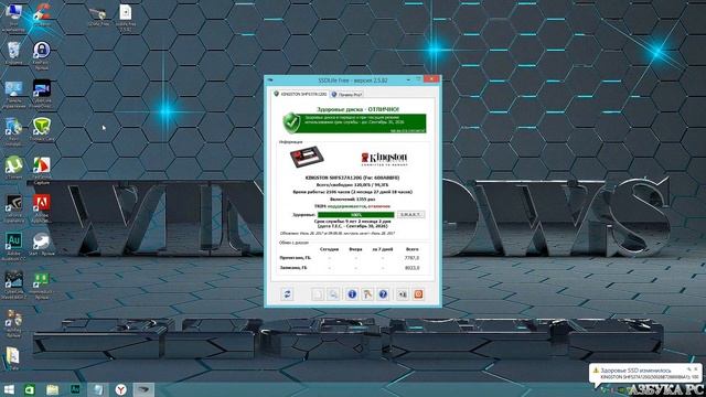 Как включить TRIM на SSD диске, как проверить включен TRIM или нет смотреть онлайн